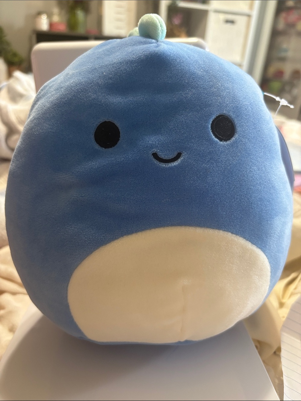 Brody the 8 inch Blue Dinosaur Squishmallow
